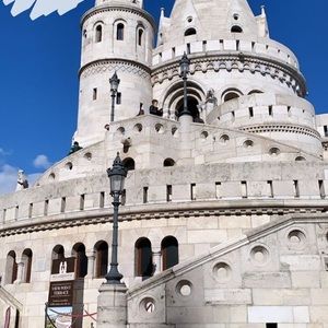 Meet your Posher, Sammy